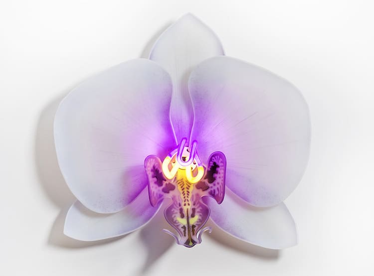 esculturas de orquideas por Laura Hart