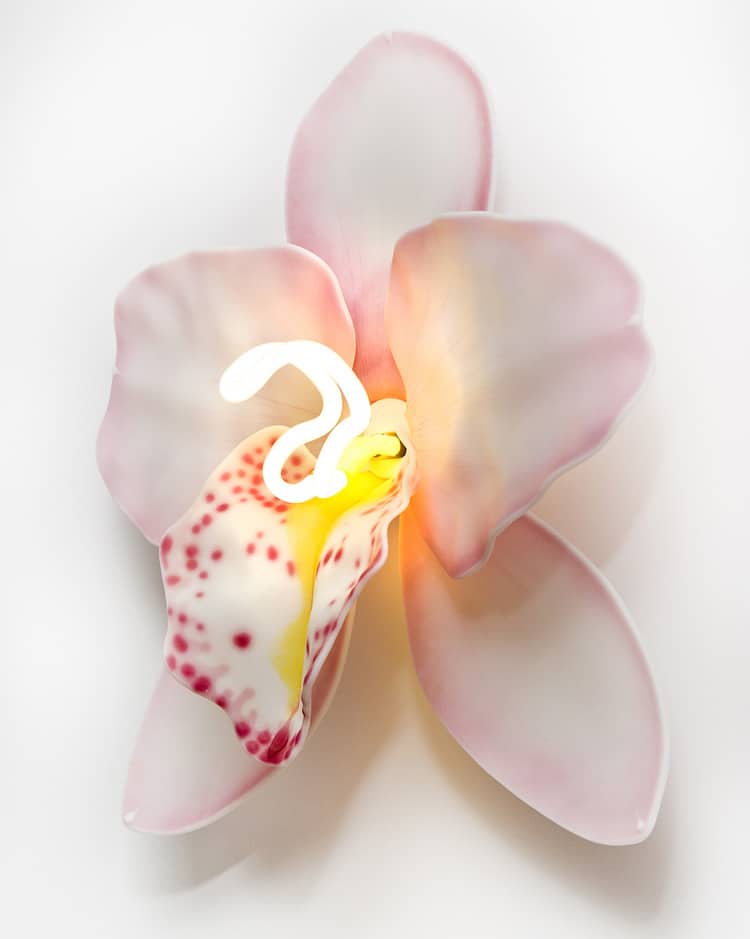 orquideas de vidrio por Laura Hart