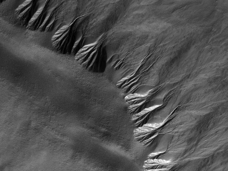 Gullies on Mars in the Lyell Crater