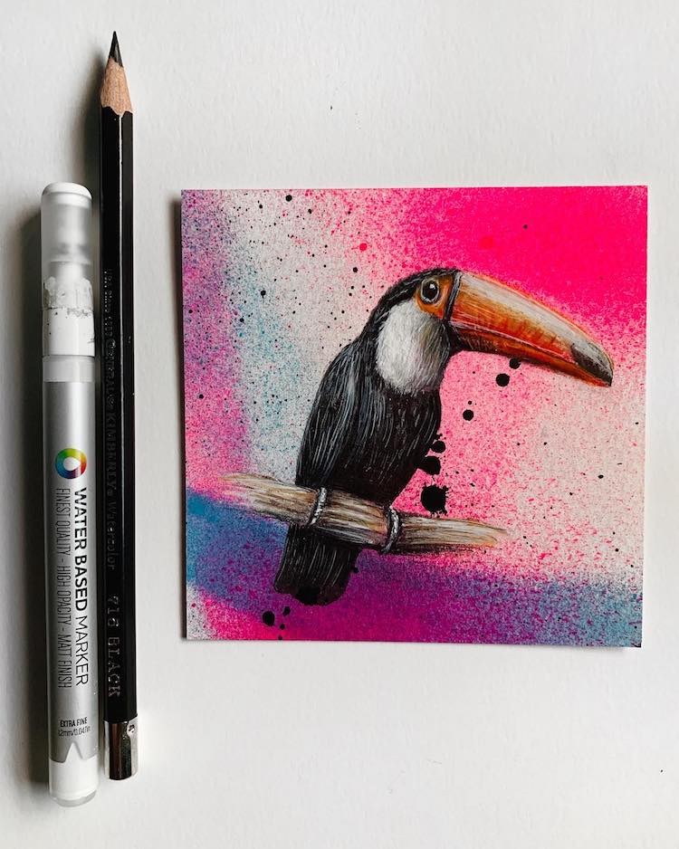 Bird Illustration by Jonathan Martinez