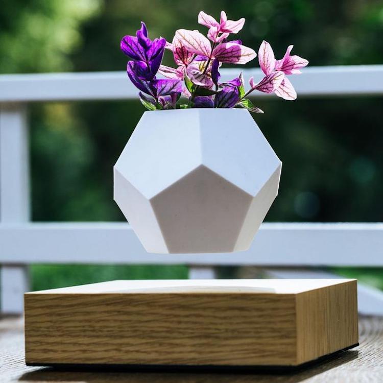 Lyfe Levitating Planter