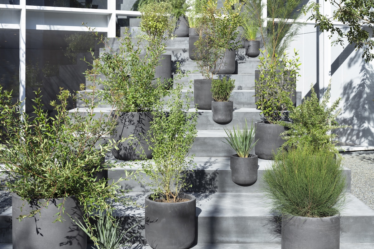 Potted Plants on Staircase