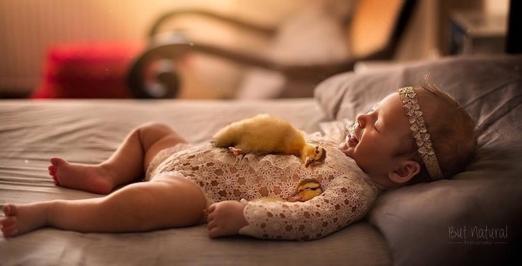 Newborn Photography with Baby Animals by Sujata Setia