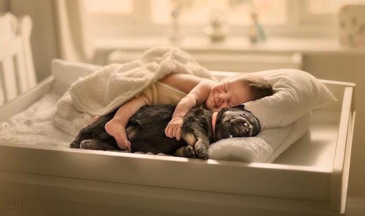 fotos de recien nacidos con animales bebes por Sujata Setia