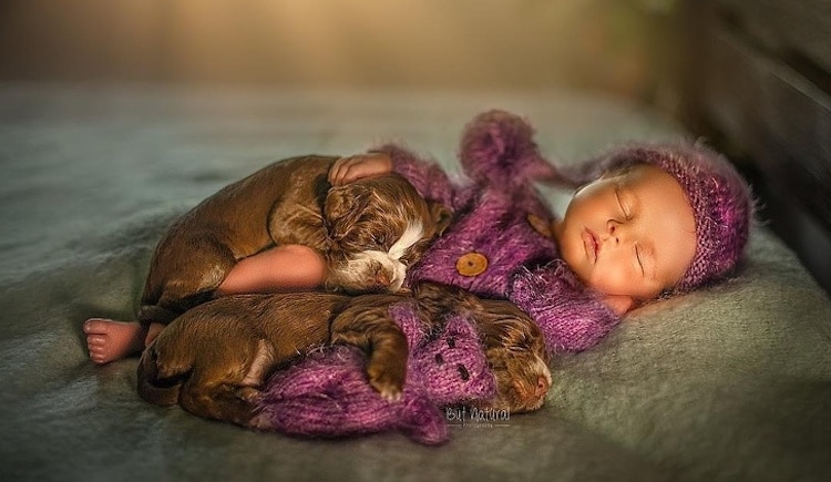 fotos de recien nacidos con animales bebes por Sujata Setia