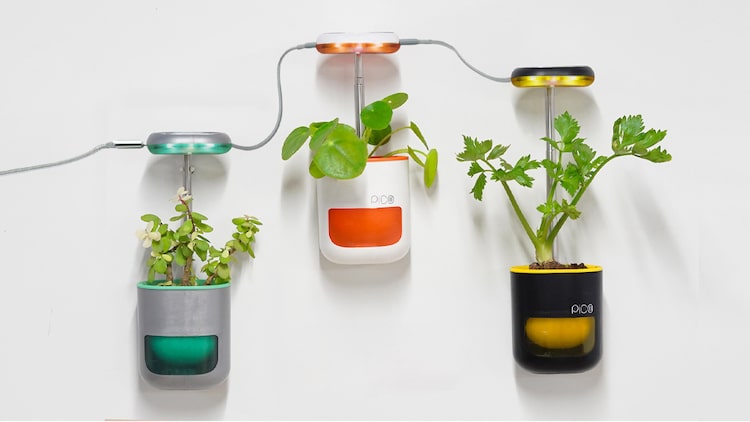 Self Watering Planter