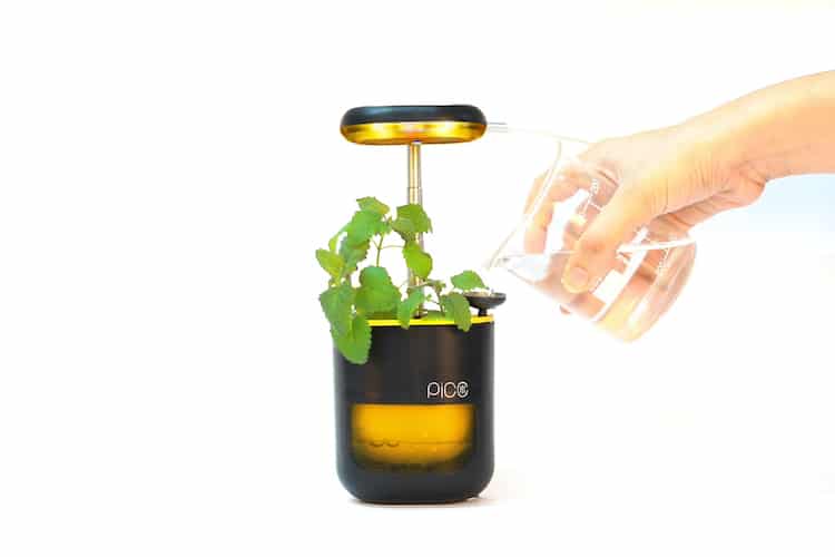 Pico, the Self Watering Planter