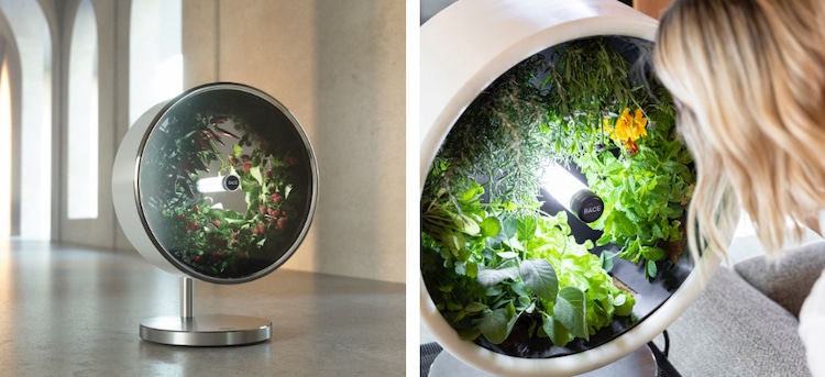 NASA-Inspired Indoor Garden Uses Zero-Gravity Tech to Grow Veggies