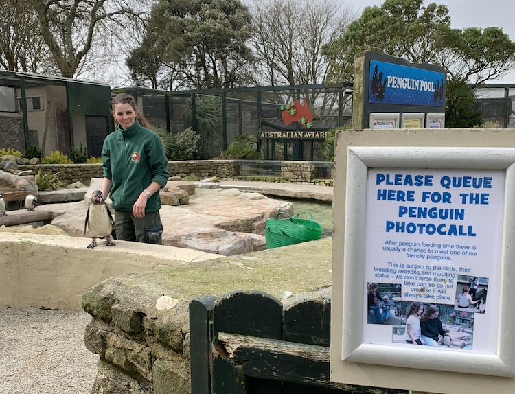 Cuidadoras de zoológico aisladas en Paradise Park, Reino Unido