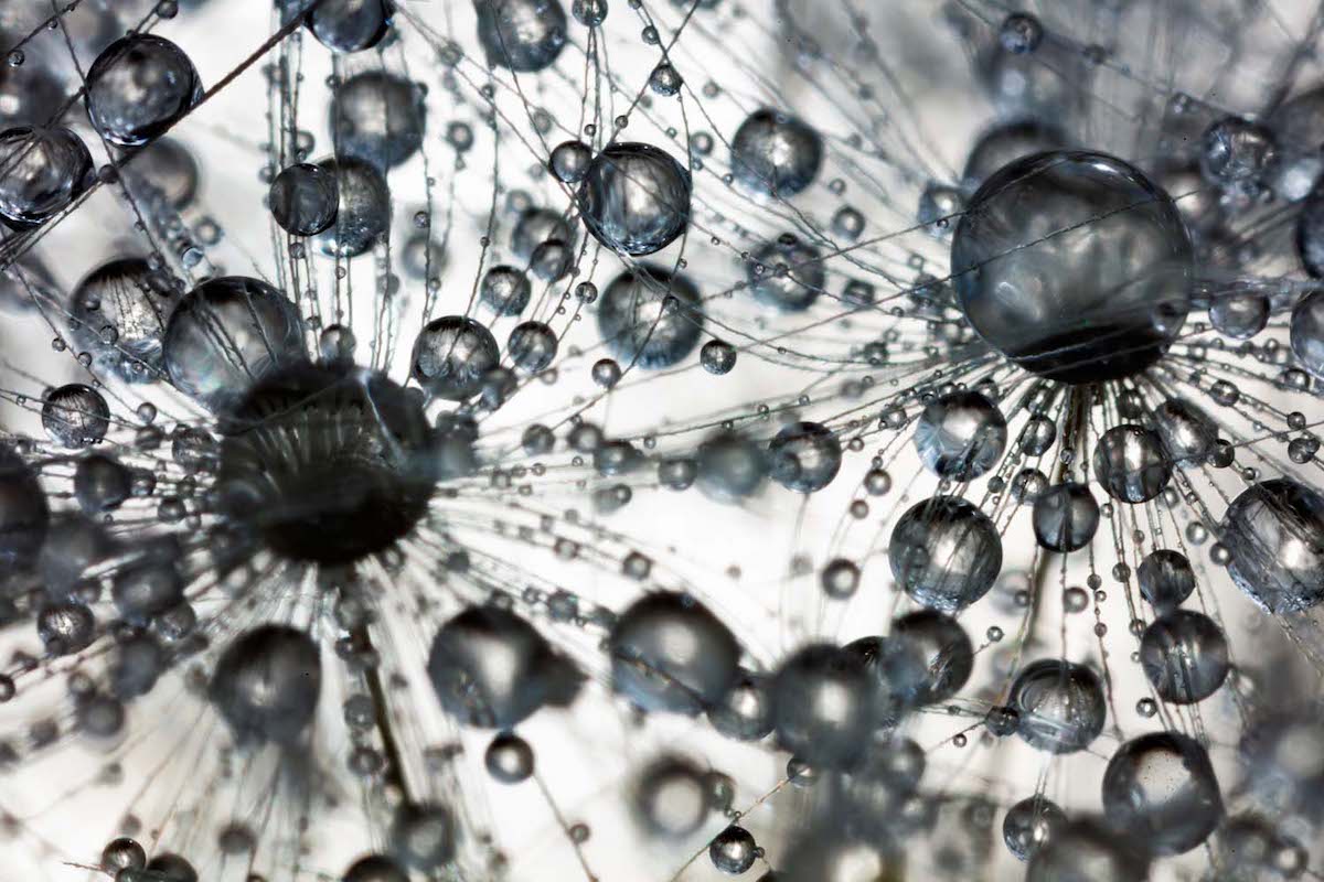 Foto abstracta de burbujas en el agua