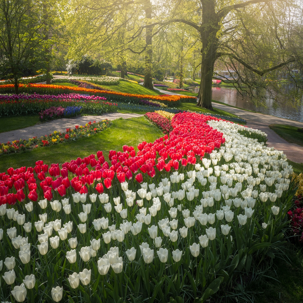 Jardines del Keukenhof por Albert Dros