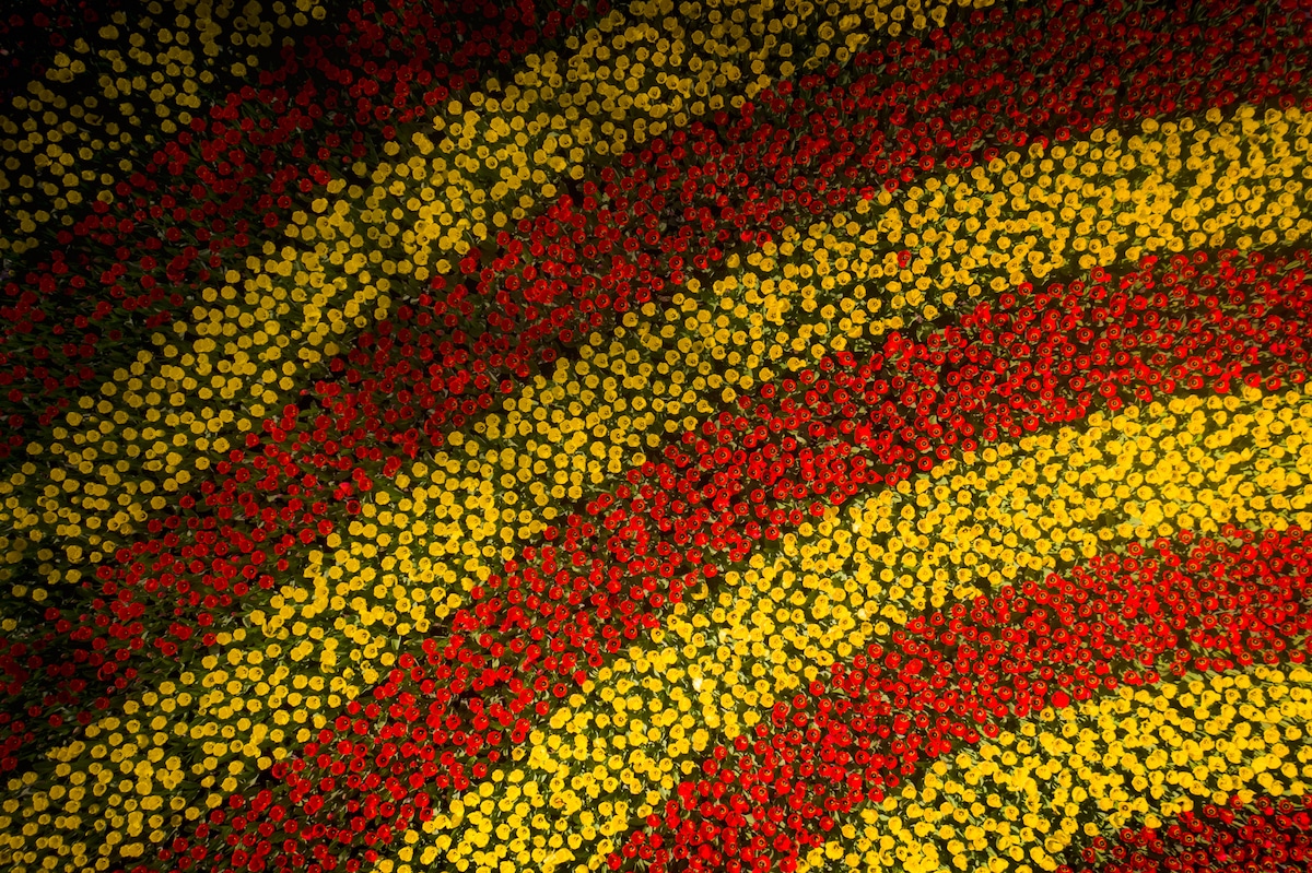 Foto aérea de flores amarillas y rojas en el Keukenhof