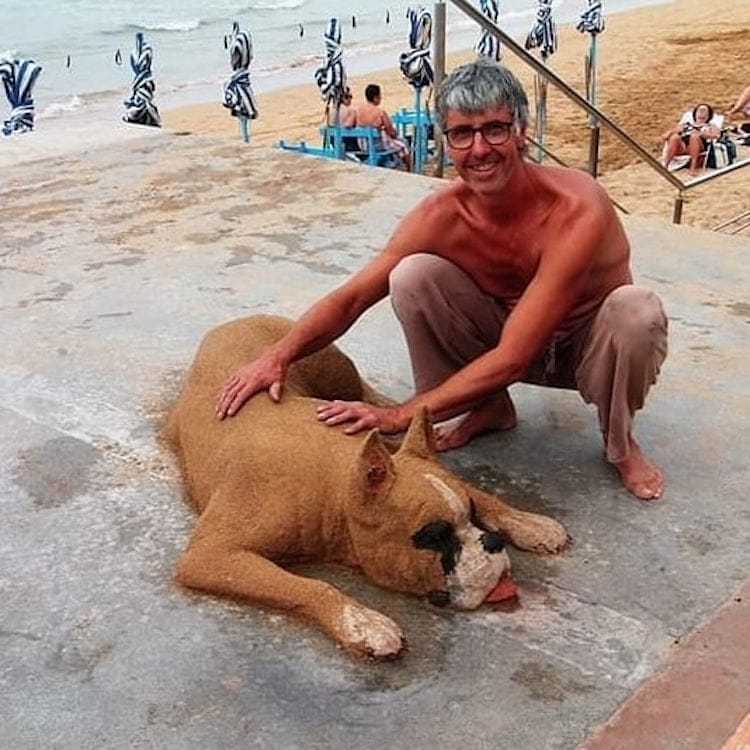 Realistic Sand Sculptures of Animals by Andoni Bastarrika