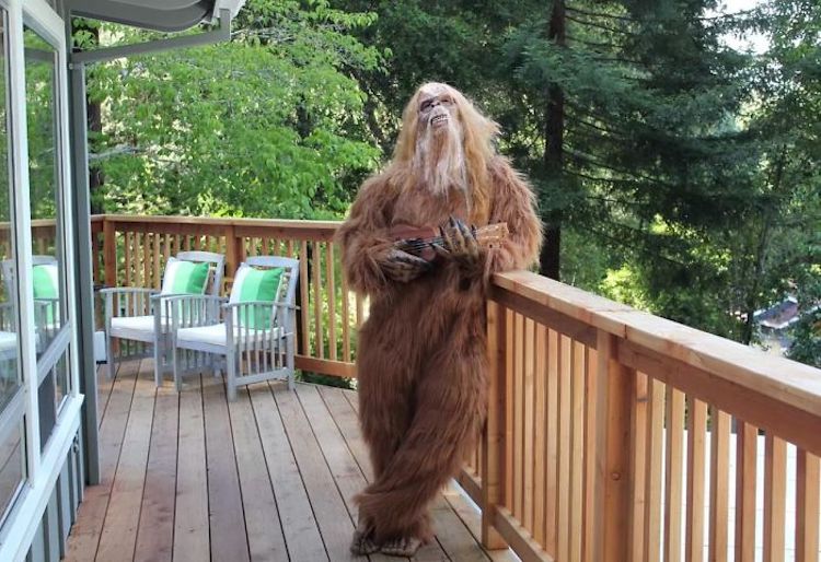 Bigfoot Selling His Felton, California House