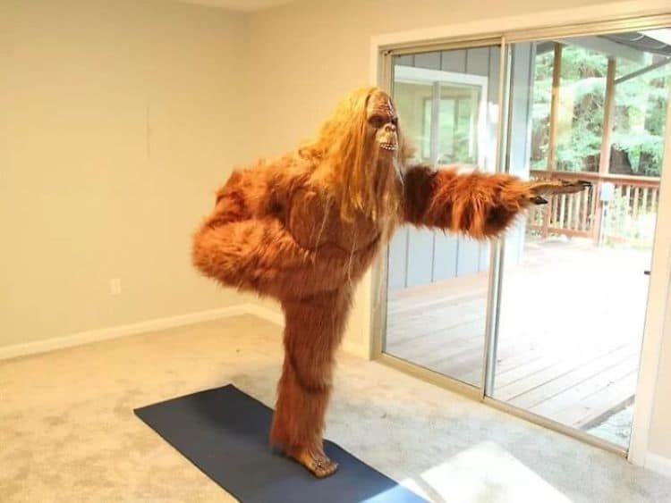 Bigfoot Selling His Felton, California House