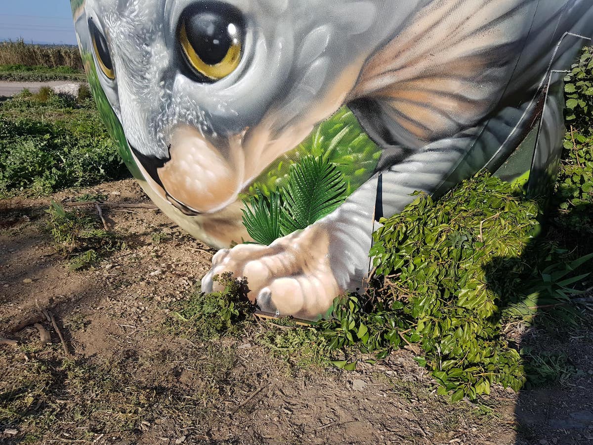 Detail of Sphynx Cat Street Art Illusion