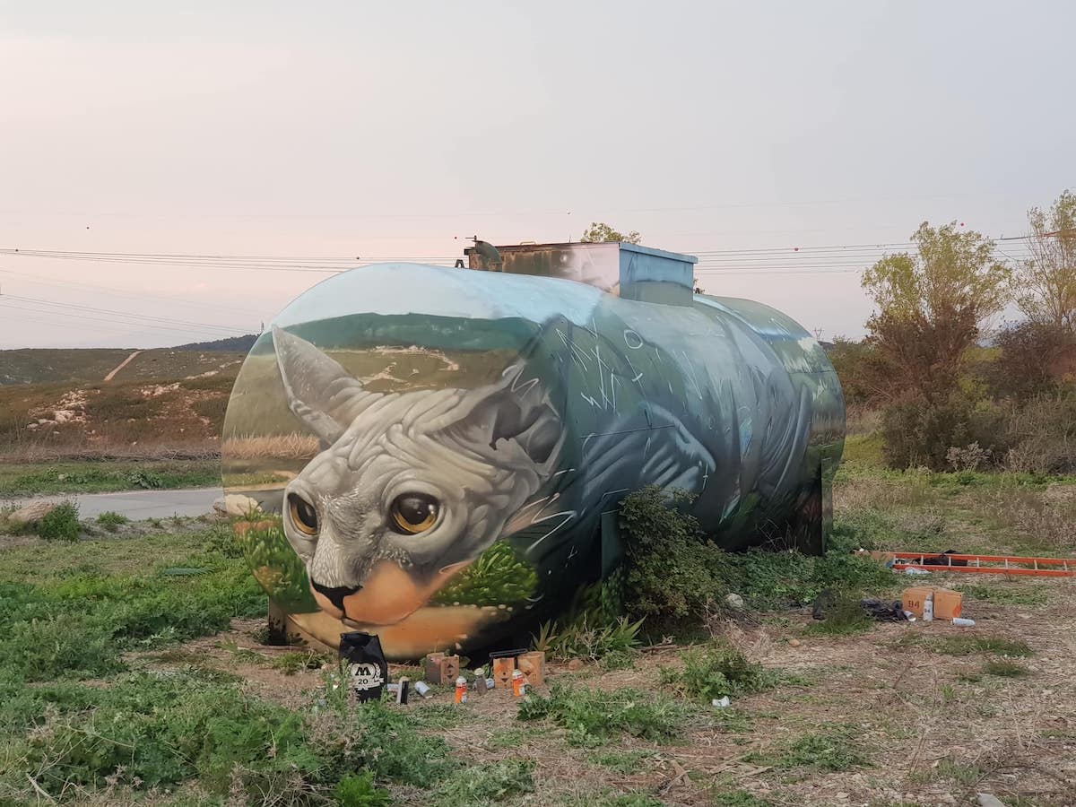 Sphynx Cat Street Art Illusion