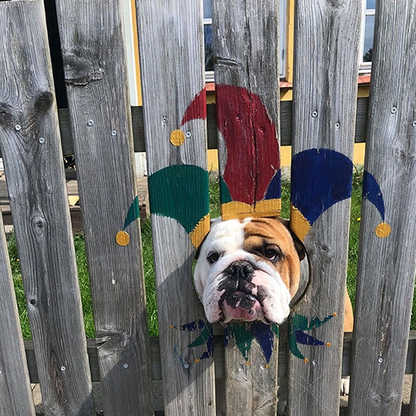 peluche bulldog ingles ikea