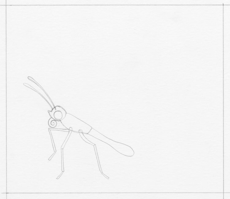 Aprende cómo dibujar una mariposa en cinco sencillos pasos