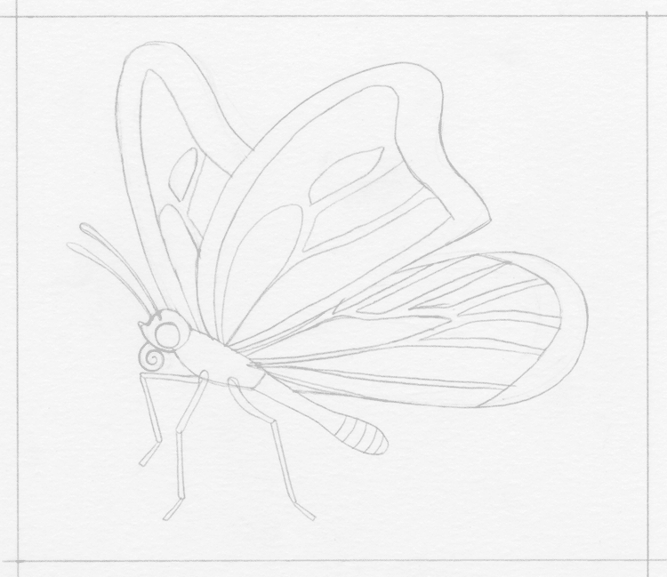 boceto de mariposa simple