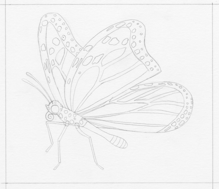 Aprende cómo dibujar una mariposa en cinco sencillos pasos