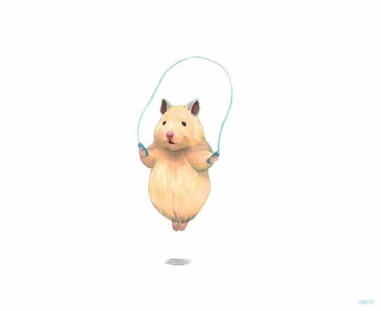 hamster illustration