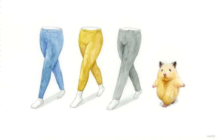 Hamster Illustrations by GOTTE