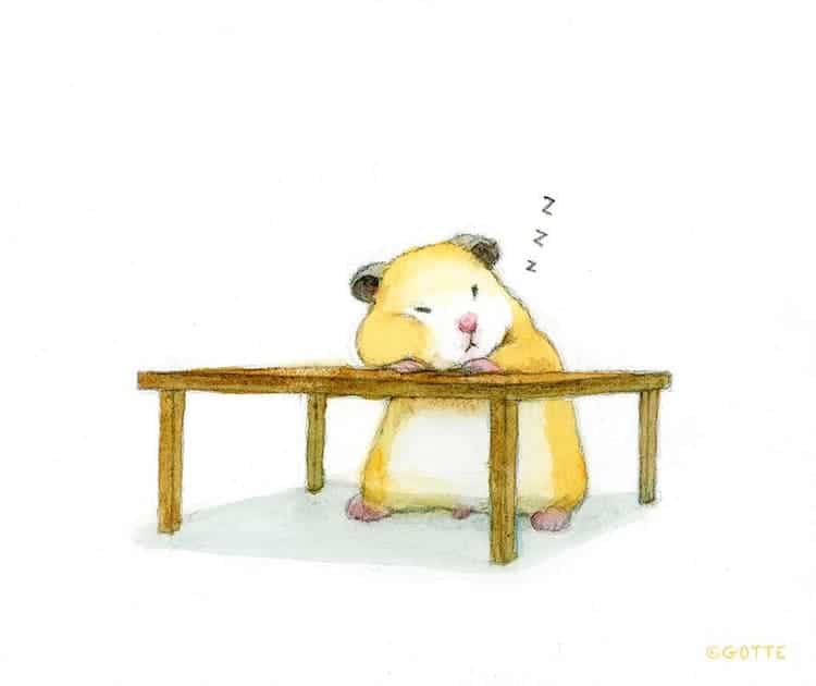 Hamster Illustrations by GOTTE