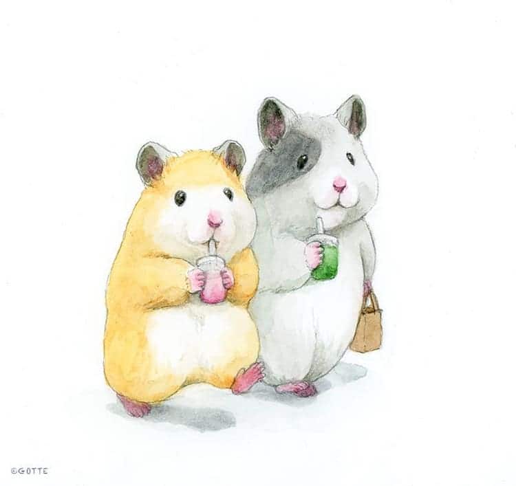 Hamster Illustrations by GOTTE