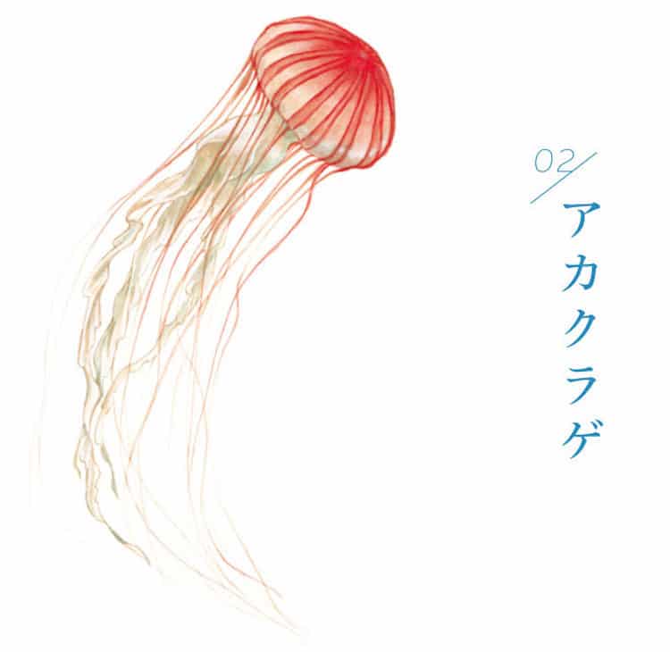 Jellyfish Umbrellas by You+MORE!