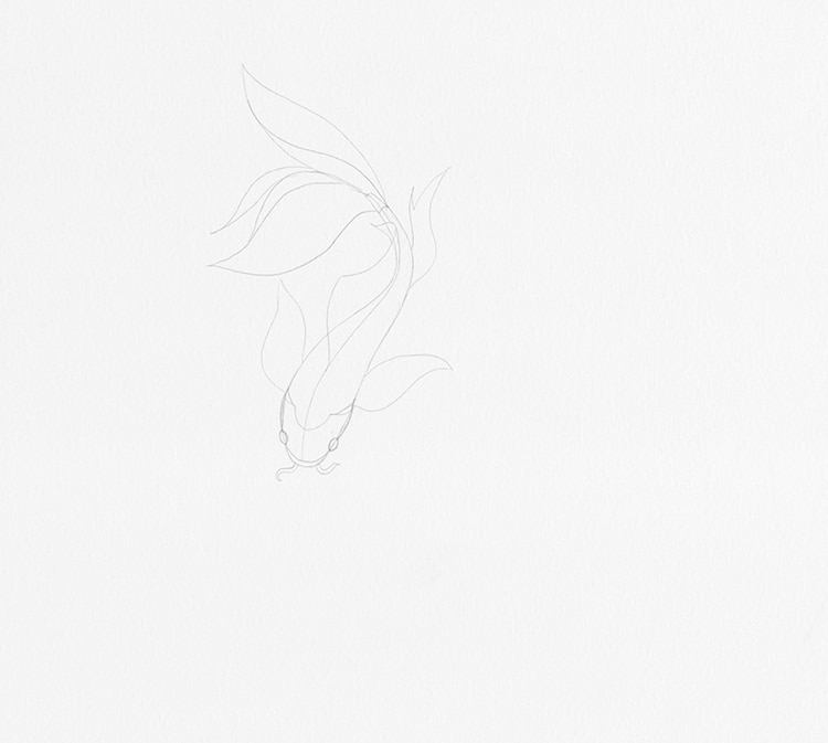 Learn How To Draw Koi Fish With This Easy Step By Step Guide