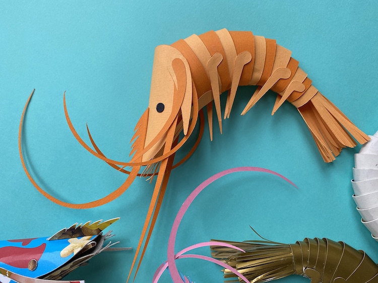 Paper Prawns by Lisa Lloyd