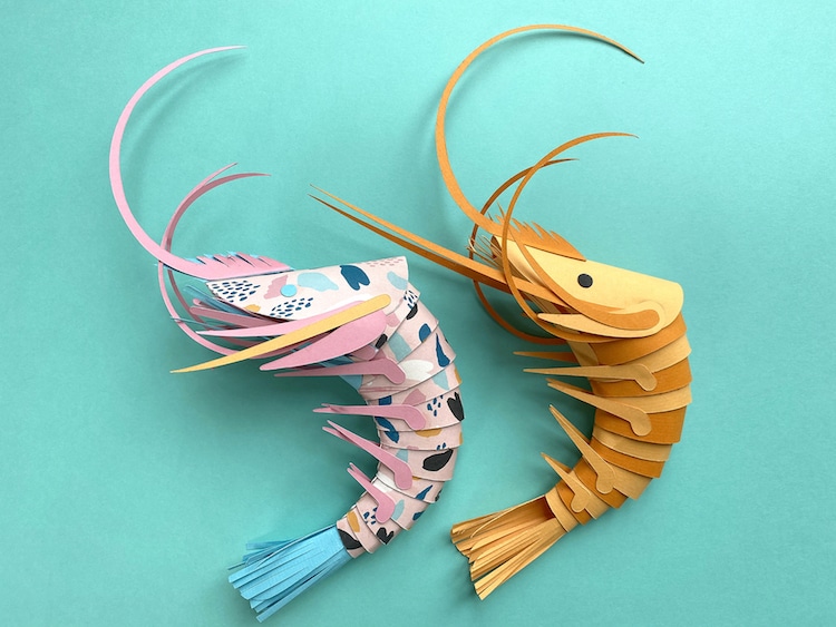 Paper Prawns by Lisa Lloyd