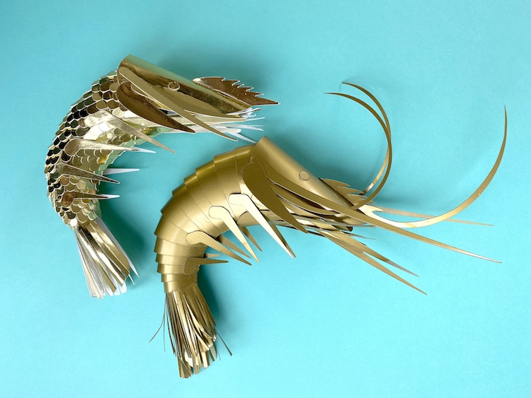 Paper Prawns by Lisa Lloyd