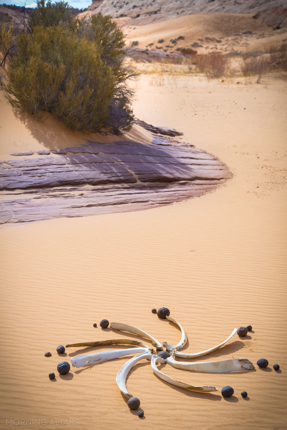 land art por Day Schildkret