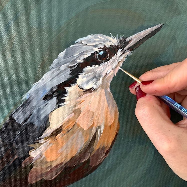 pinturas de aves con pintura acrilica por Rachel Altschuler