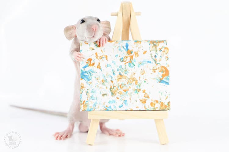 Rat Art by Toogoods Tiny Paws