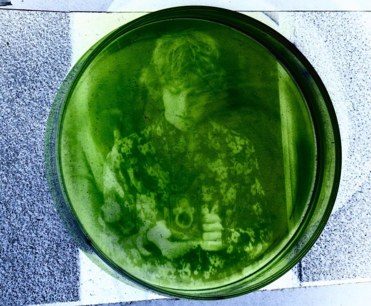 Photo Exposed in Algae