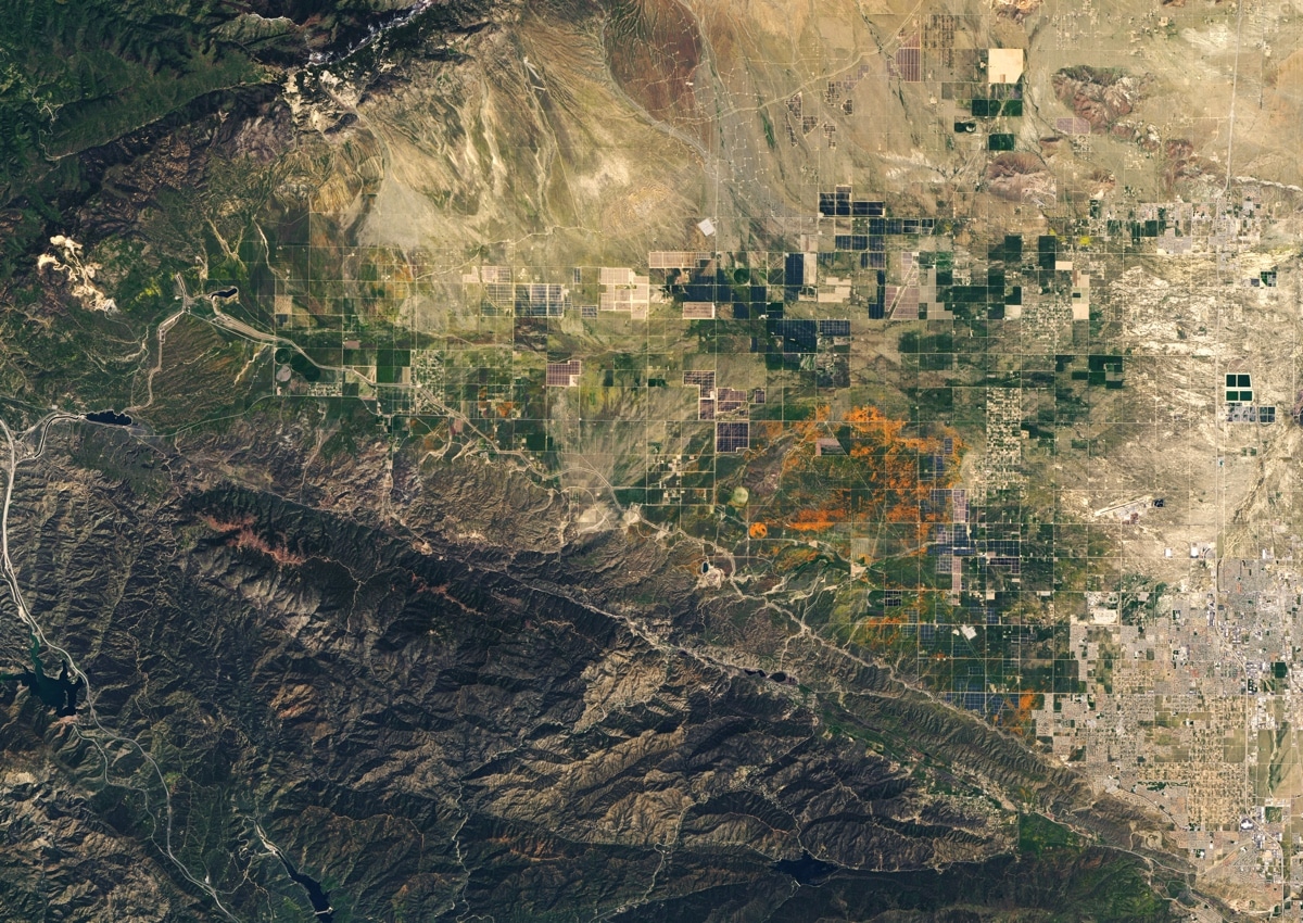 NASA Photo of California Superbloom from the NASA Earth Observatory