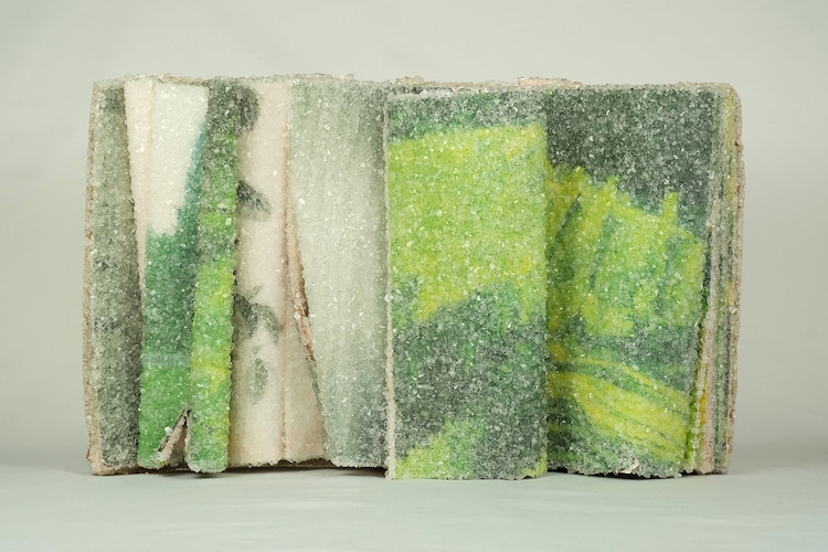 Crystallized Book Series by Alexis Arnold