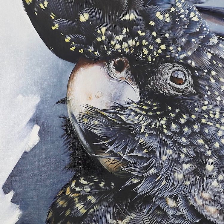 Animal Paintings by Carla Grace