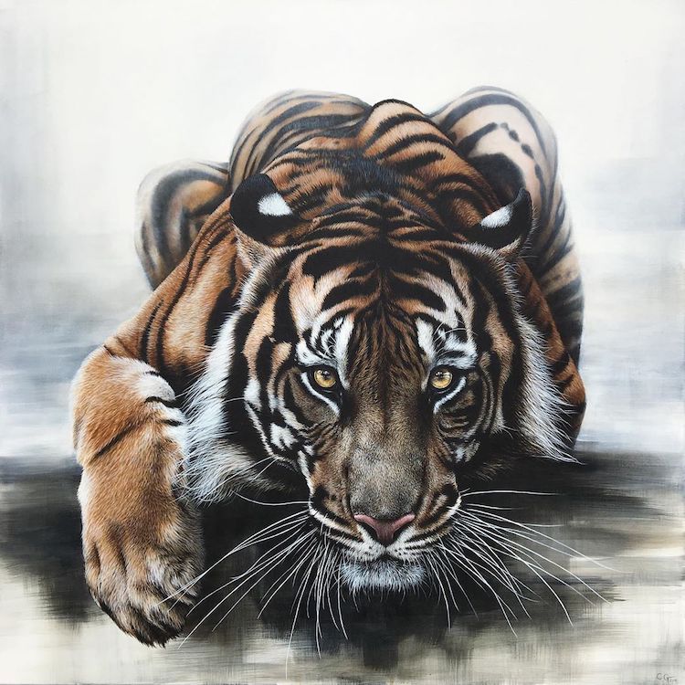 Hyperrealistic Oil Paintings Capture the Wild Nature of the Animal Kingdom