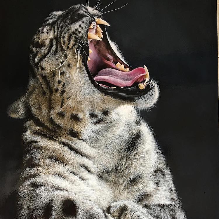 Animal Paintings by Carla Grace