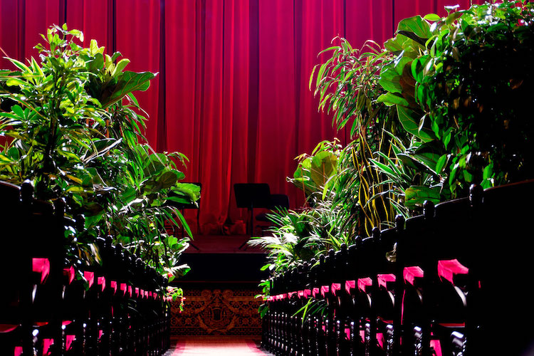 Concert for Plants at the Gran Teatre del Liceu in Barcelona