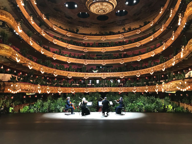 Concert for Plants at the Gran Teatre del Liceu in Barcelona