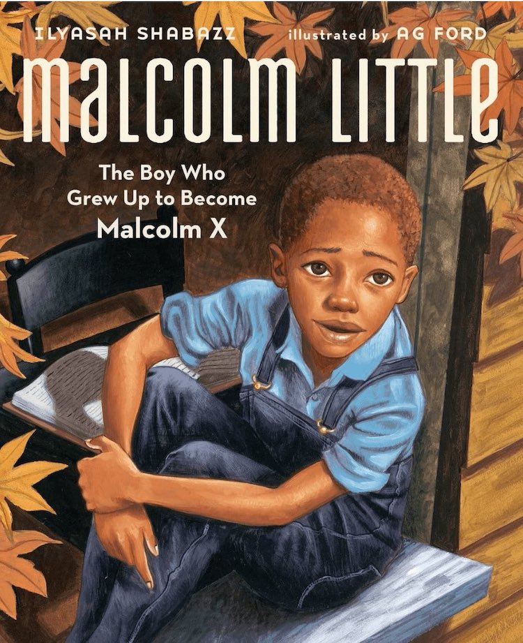 Malcolm Little: The Boy Who Grew Up to Become Malcom X written by Ilyasah Shabazz and illustrated by AG Ford