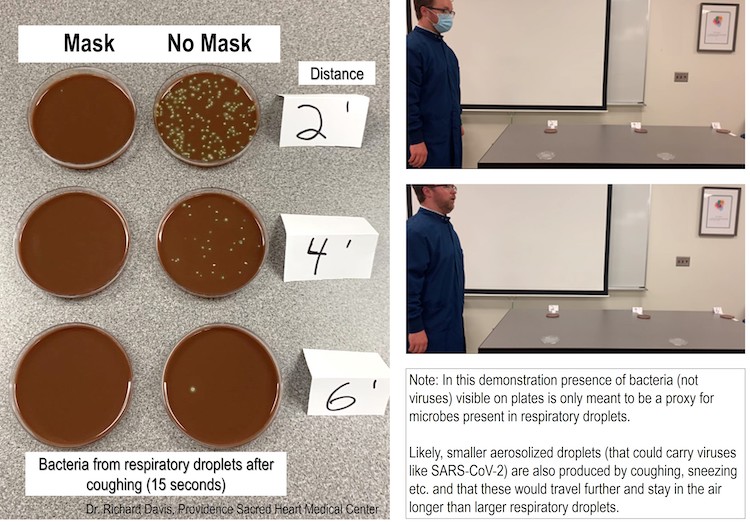 Face Mask Bacteria Demonstration