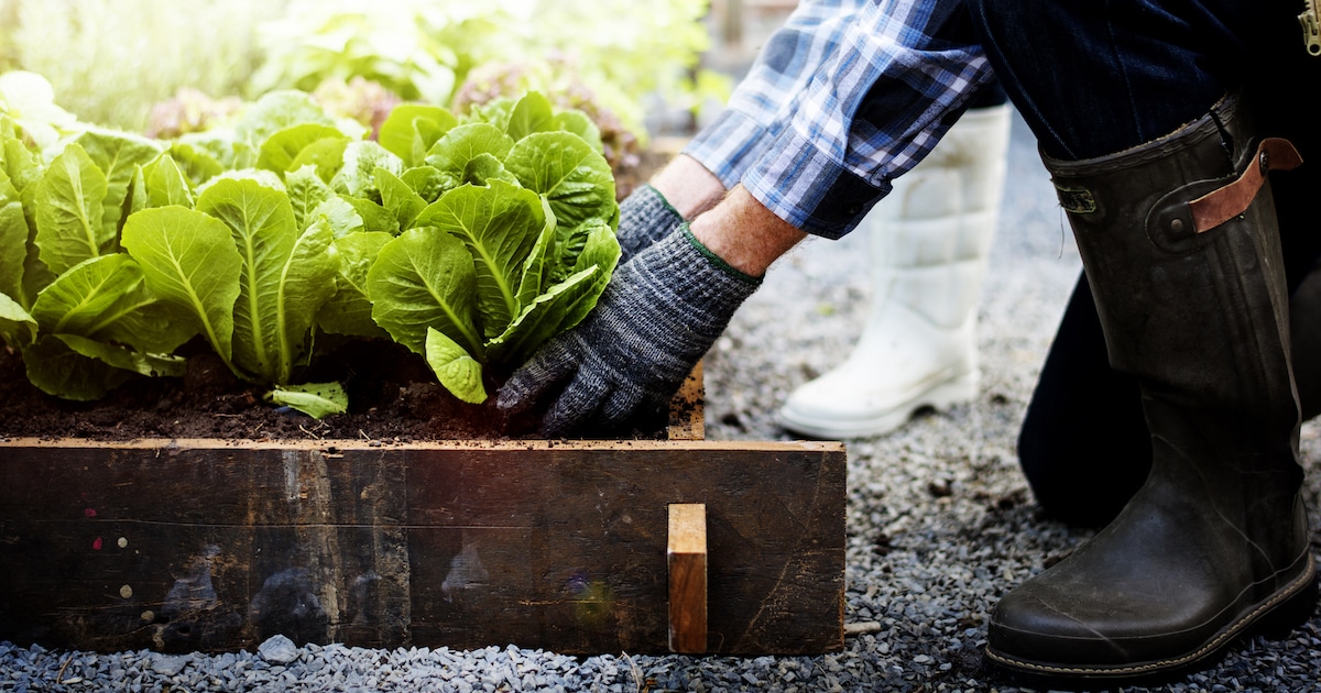 Gardening Makes You Happier According to Princeton Study