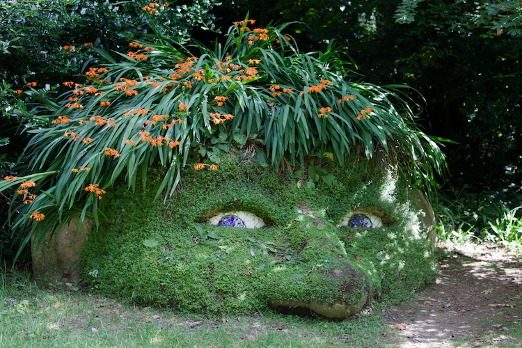 Giant's Head at the Lost Gardens of Heligan