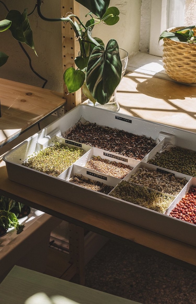 IKEA Home of Tomorrow is a Green Urban Oasis in Poland